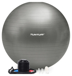 Tunturi Gymball 90 cm Zilver Anti-lek