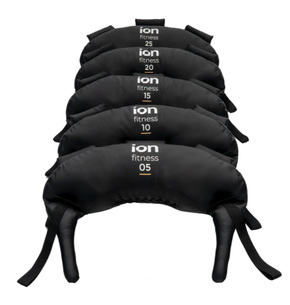 Bulgarian Bag. ION fitness 