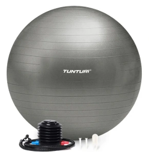 Tunturi Gymball 90 cm Zilver Anti-lek
