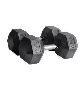 Ruster Rubber Hex Dumbbells (paar)  (Gewicht: 25kg)