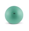 AFW Gymball Antiburst (Kleur: Groen, Diameter: 55cm)