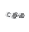 Mancuernas hexagonales vinilo Ruster Studio (par) (Peso: 4kg)