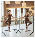Elina Pilates dubbele balletbarre