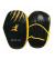 Bruce Lee Coaching Mitts