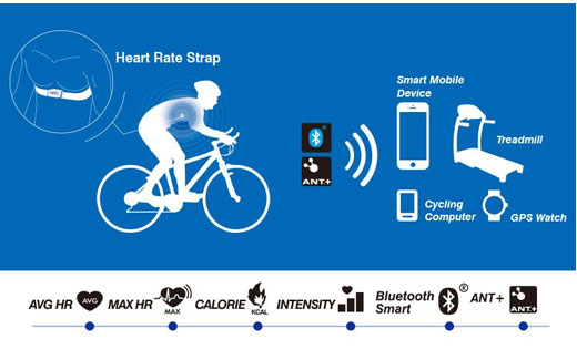 Alatech CS012 Dual Mode Heart Rate Strap